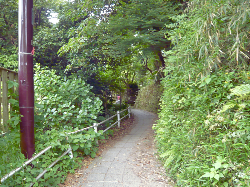 f:id:garadanikki:20130528162048j:plain