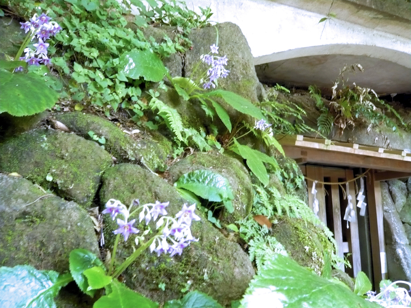 f:id:garadanikki:20130604121537j:plain
