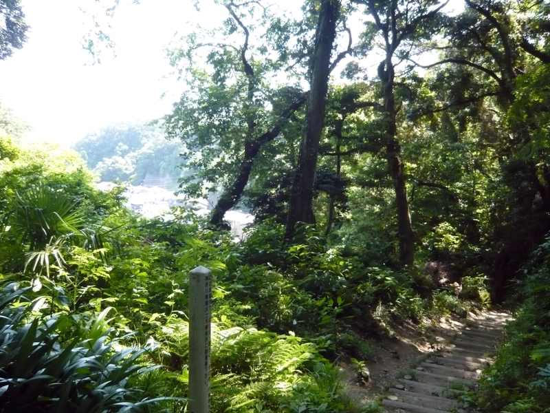 f:id:garadanikki:20130604131653j:plain
