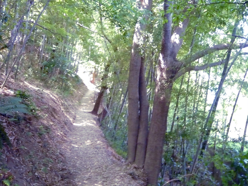 f:id:garadanikki:20130604131827j:plain