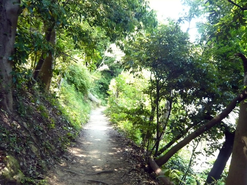 f:id:garadanikki:20130604132012j:plain