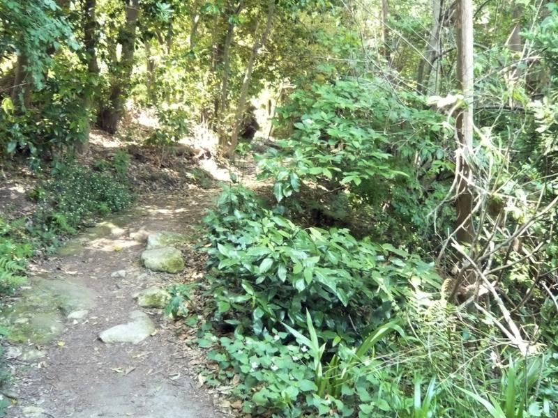 f:id:garadanikki:20130604132112j:plain