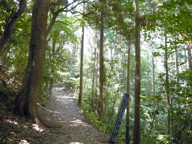 f:id:garadanikki:20130604132215j:plain