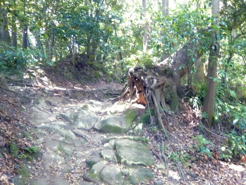 f:id:garadanikki:20130604132250j:plain