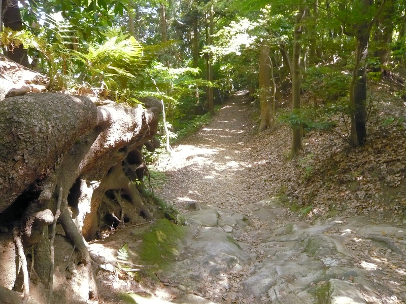 f:id:garadanikki:20130604132311j:plain