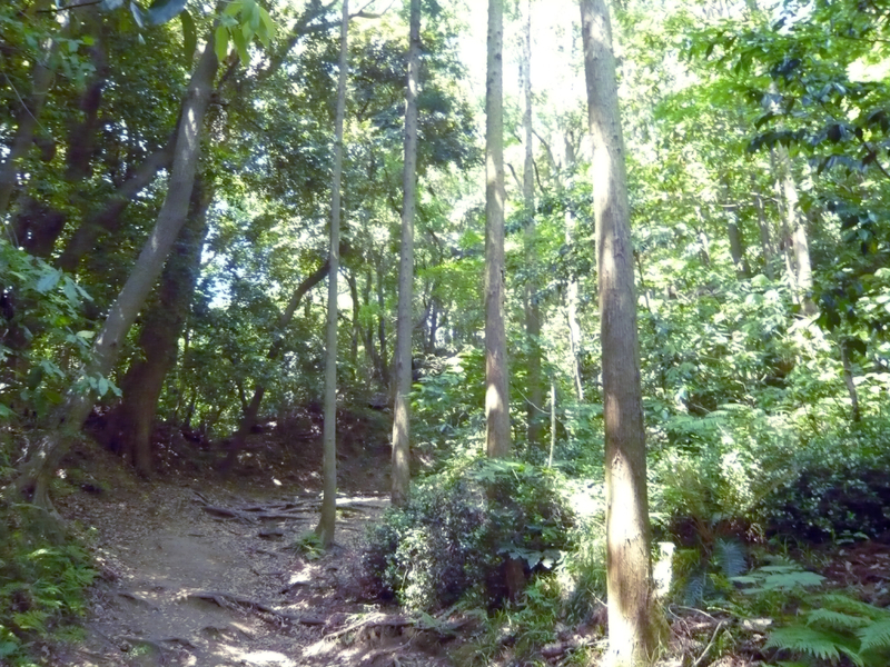f:id:garadanikki:20130604132358j:plain