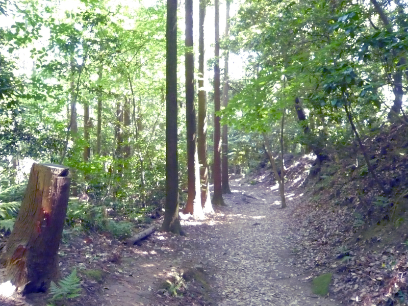 f:id:garadanikki:20130604132402j:plain