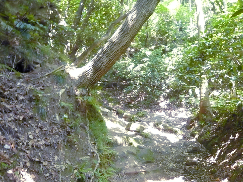 f:id:garadanikki:20130604132443j:plain