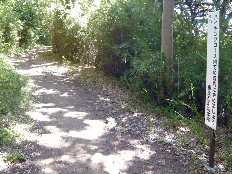 f:id:garadanikki:20130604132838j:plain