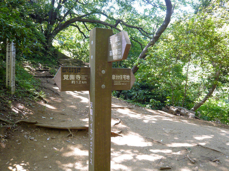 f:id:garadanikki:20130604133501j:plain