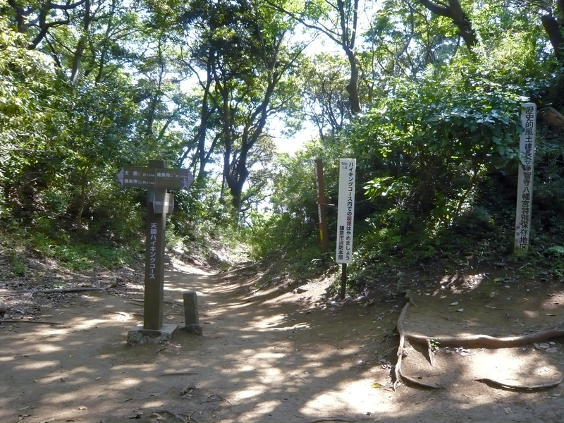 f:id:garadanikki:20130604133526j:plain
