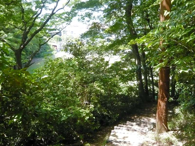 f:id:garadanikki:20130604133552j:plain