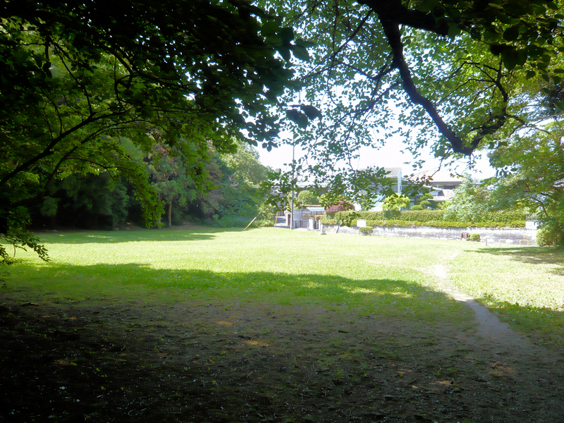 f:id:garadanikki:20130604133651j:plain