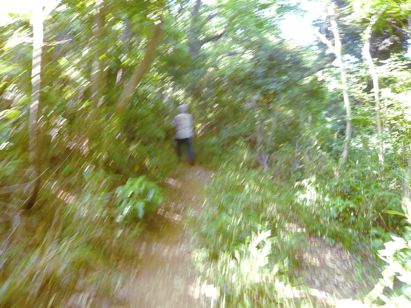 f:id:garadanikki:20130604151900j:plain