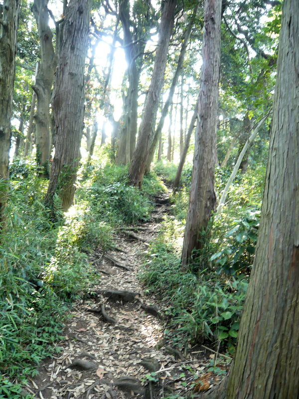 f:id:garadanikki:20130604152221j:plain