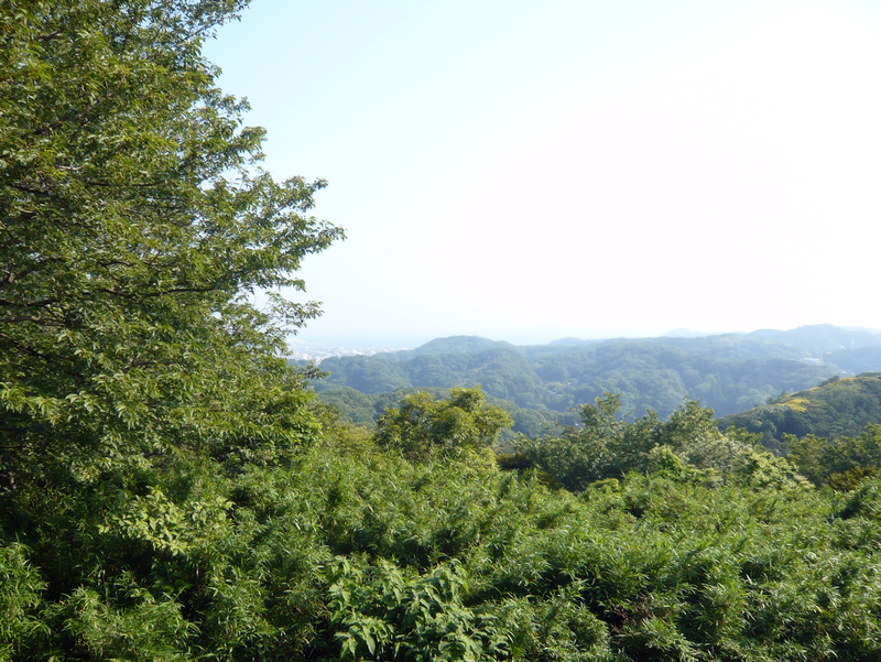 f:id:garadanikki:20130604153117j:plain