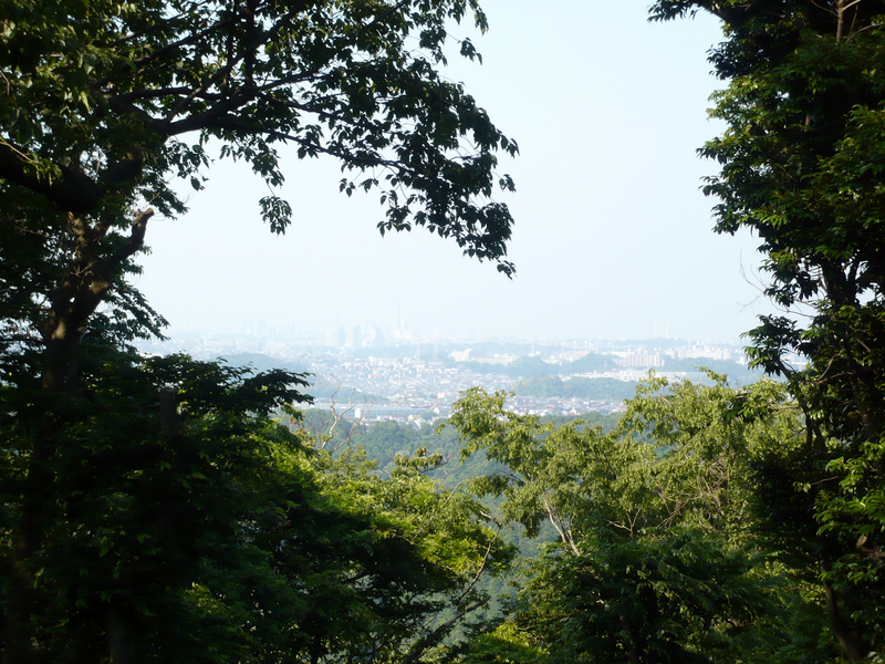 f:id:garadanikki:20130604153200j:plain