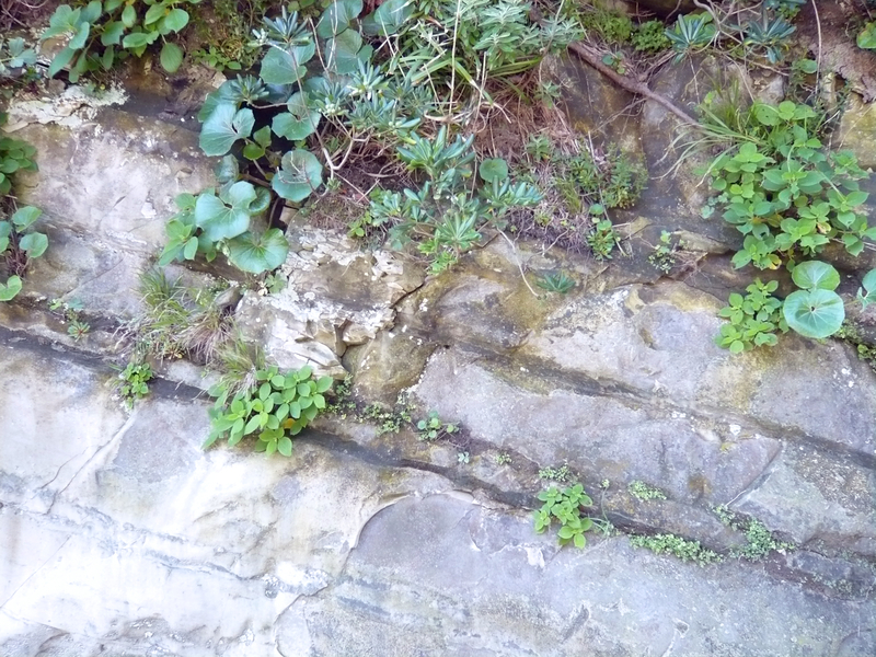 f:id:garadanikki:20130702135608j:plain