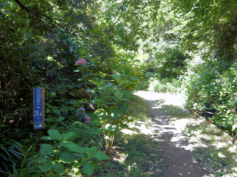f:id:garadanikki:20130702140034j:plain