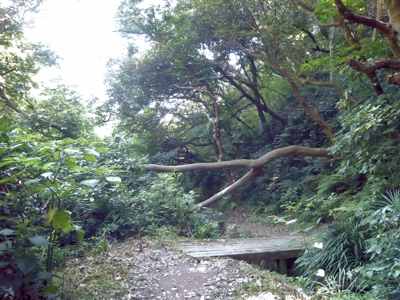 f:id:garadanikki:20130702140155j:plain