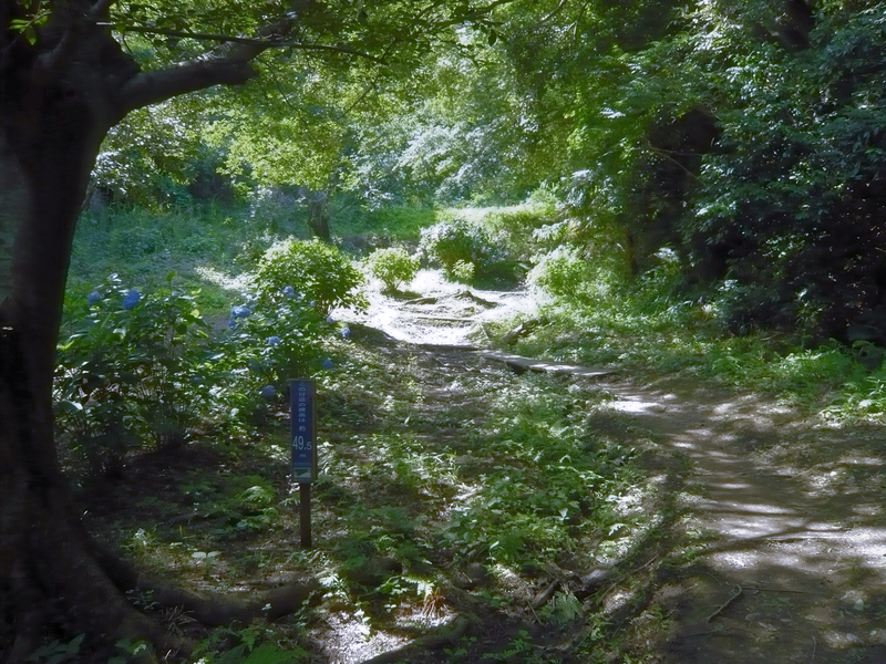 f:id:garadanikki:20130702140455j:plain
