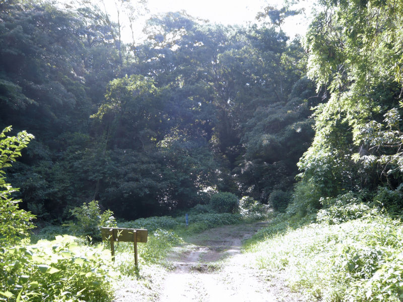 f:id:garadanikki:20130702140614j:plain
