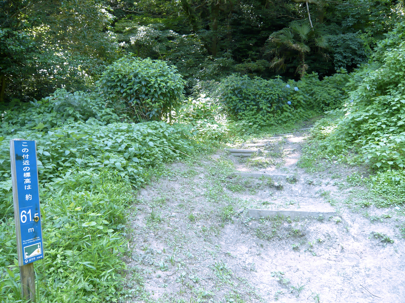 f:id:garadanikki:20130702140654j:plain