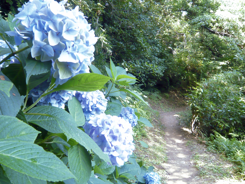 f:id:garadanikki:20130702140729j:plain