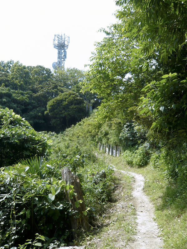 f:id:garadanikki:20130702141010j:plain
