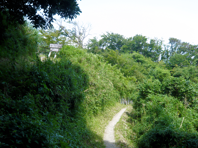 f:id:garadanikki:20130702141132j:plain