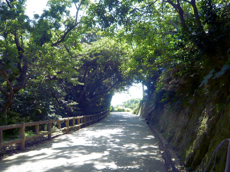 f:id:garadanikki:20130702141922j:plain