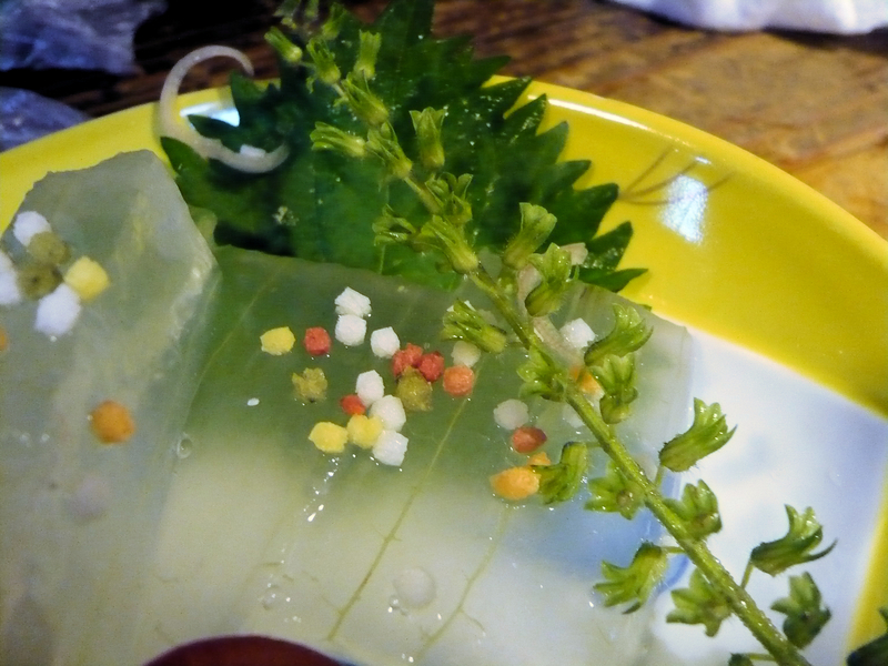 f:id:garadanikki:20130727174823j:plain