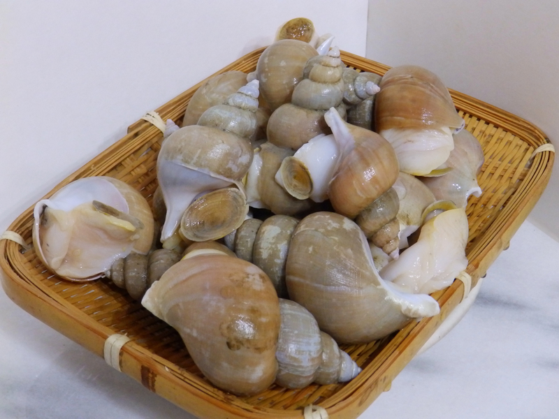 f:id:garadanikki:20130807183230j:plain