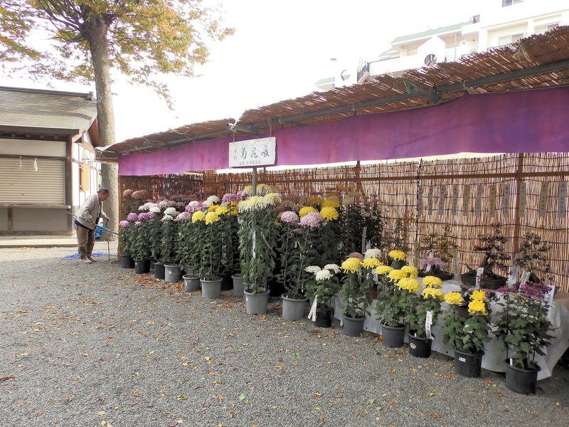 f:id:garadanikki:20131112102126j:plain