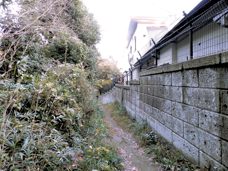 f:id:garadanikki:20131205154823j:plain