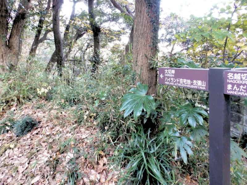 f:id:garadanikki:20131205154952j:plain
