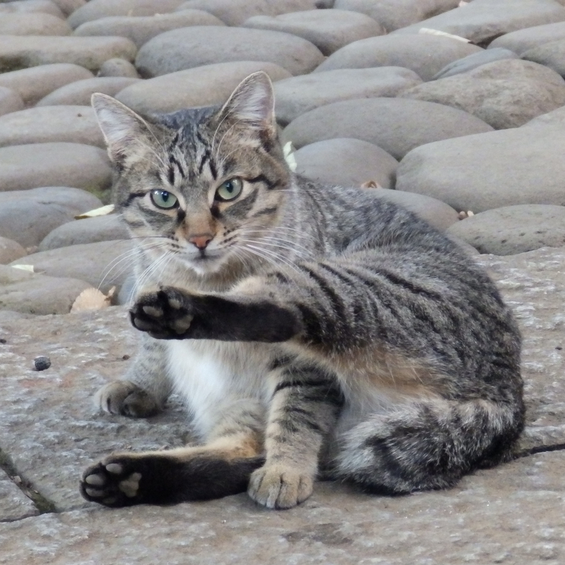 f:id:garadanikki:20131212155119j:plain