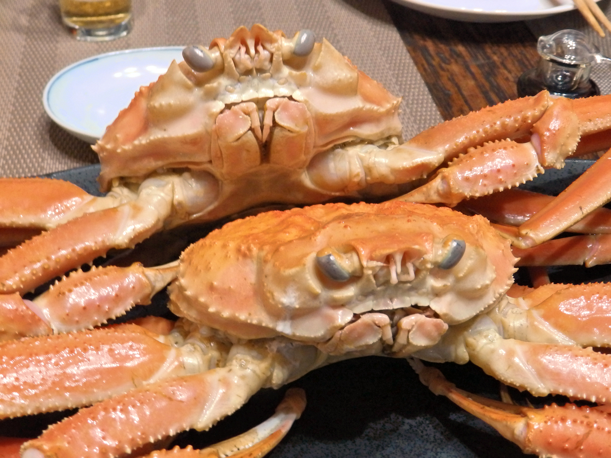f:id:garadanikki:20140111165043j:plain