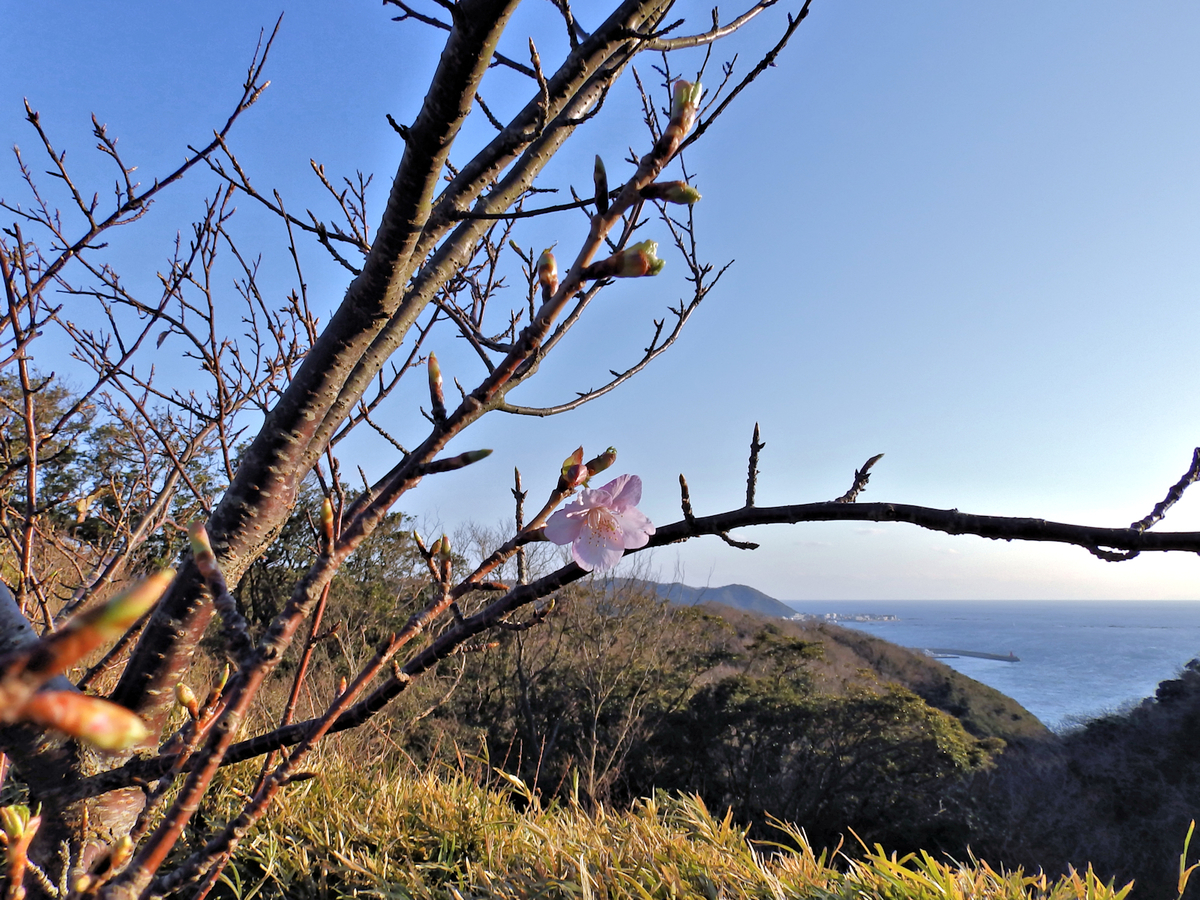 f:id:garadanikki:20140129155502j:plain