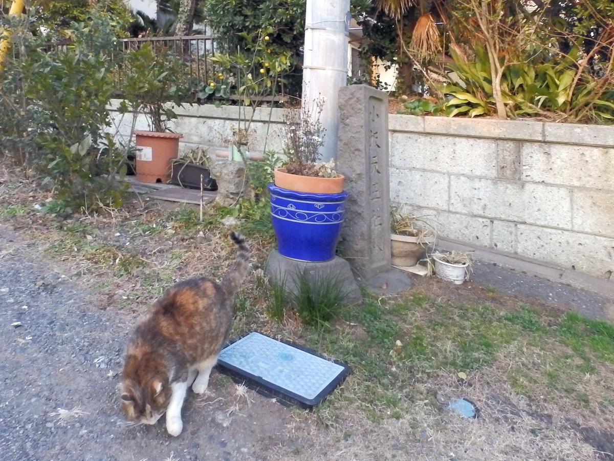 f:id:garadanikki:20140129163659j:plain