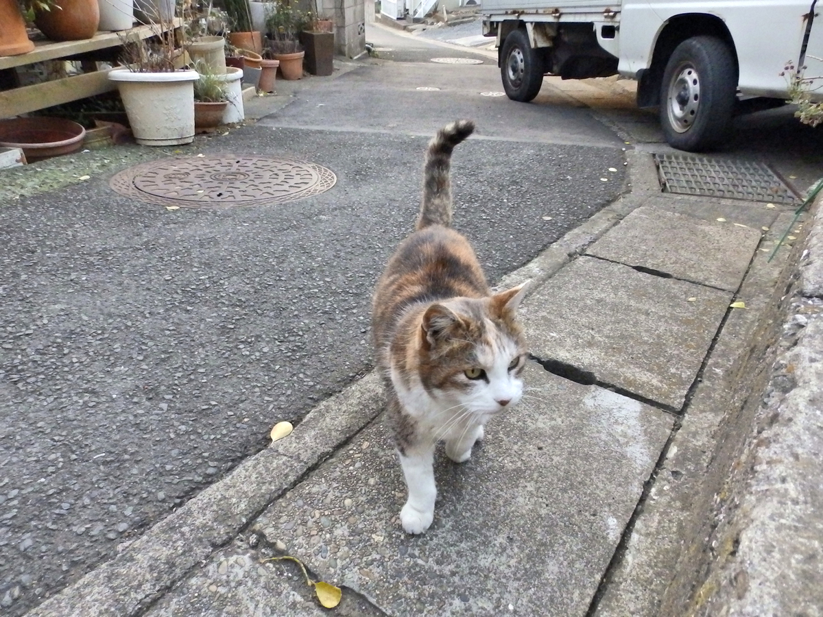 f:id:garadanikki:20140129164022j:plain