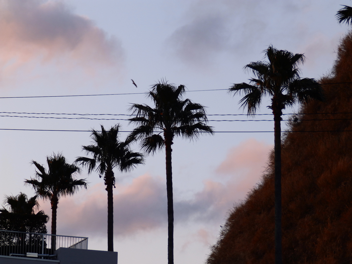 f:id:garadanikki:20140129165325j:plain