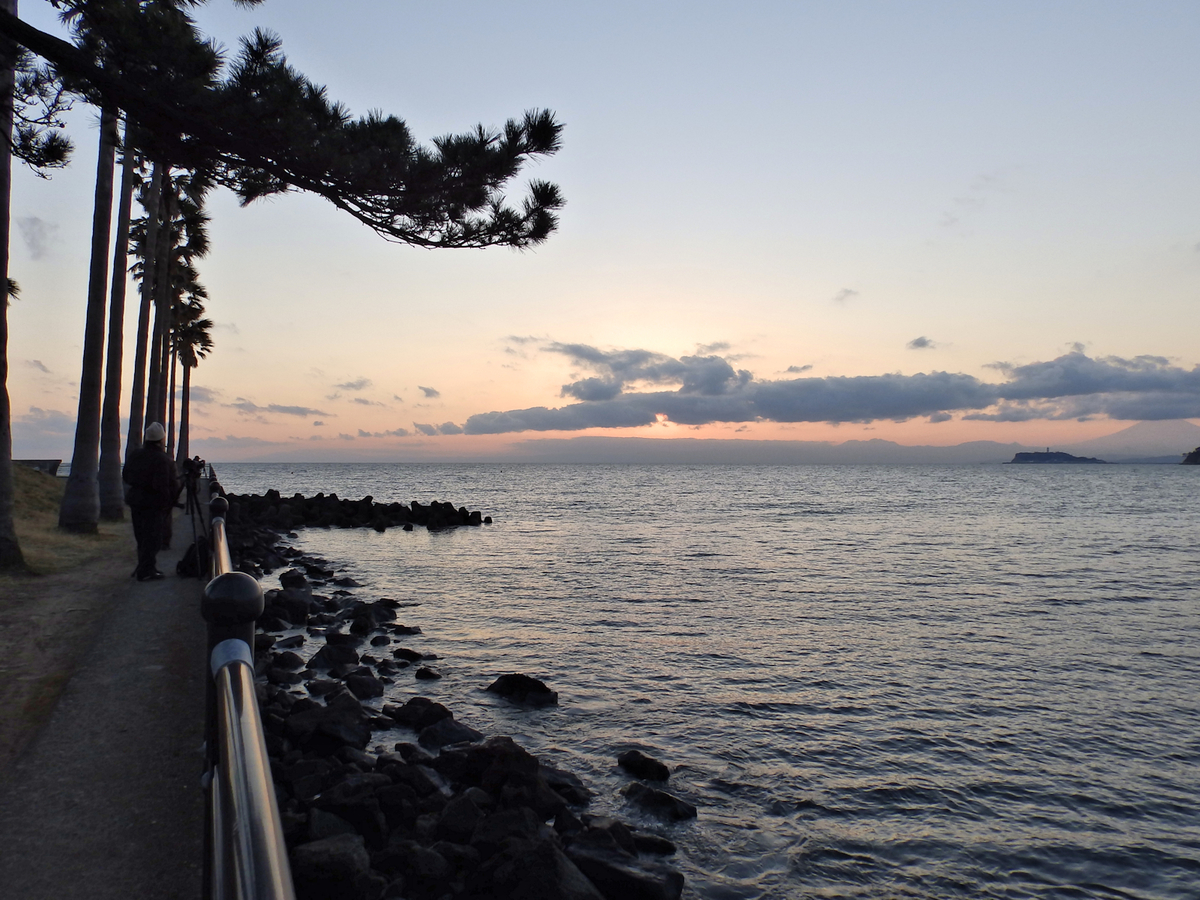 f:id:garadanikki:20140129170318j:plain