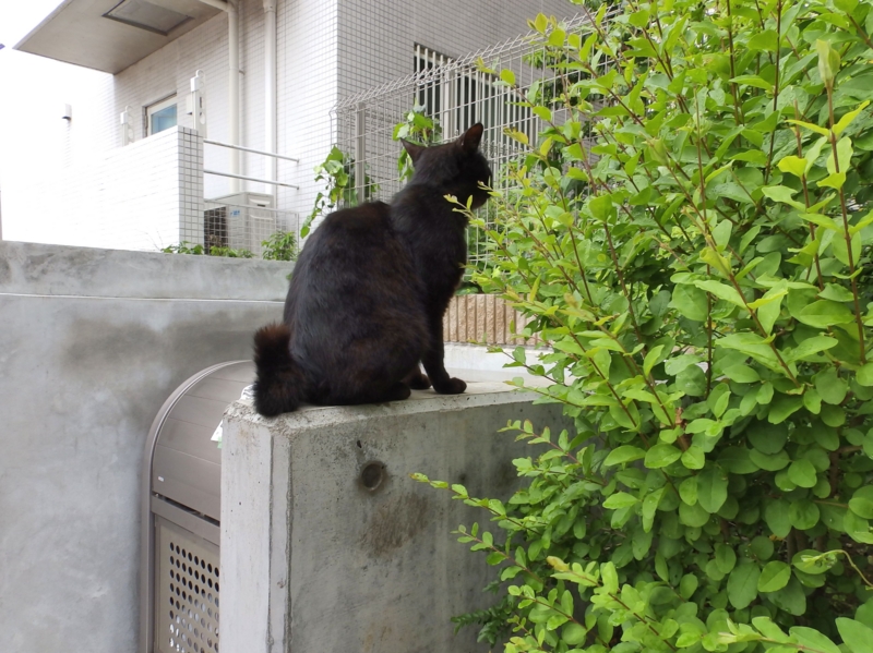 f:id:garadanikki:20140913150729j:plain
