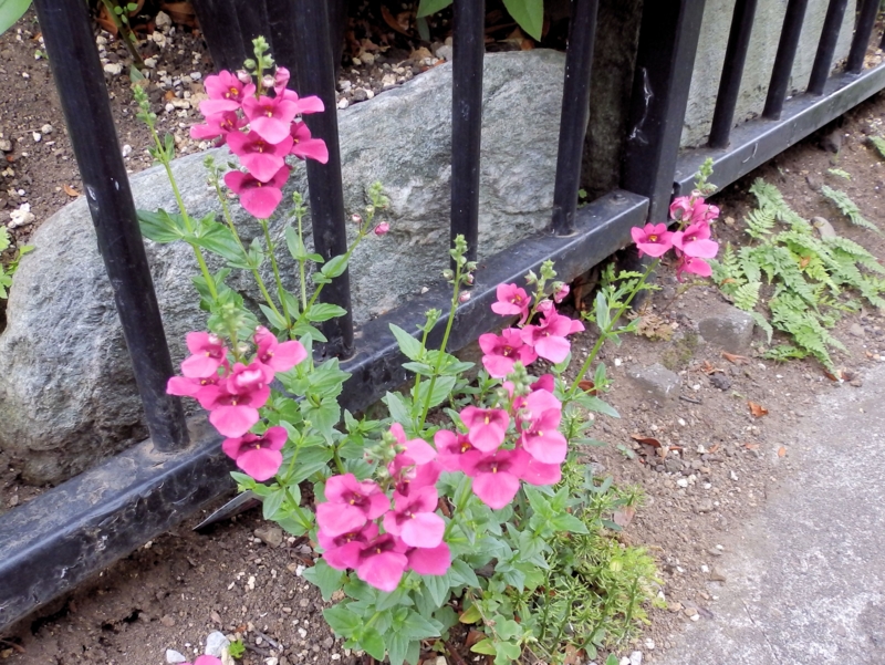 f:id:garadanikki:20141008112041j:plain
