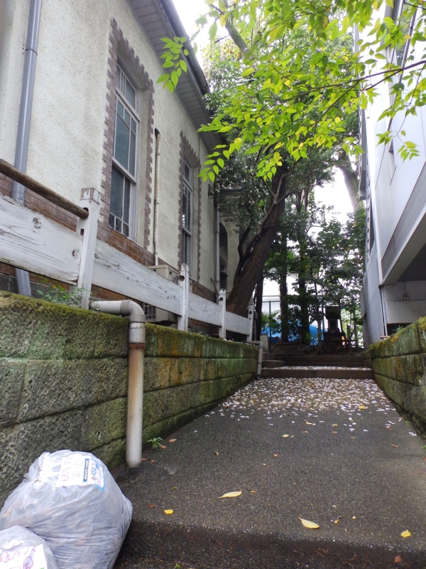 f:id:garadanikki:20141103111443j:plain