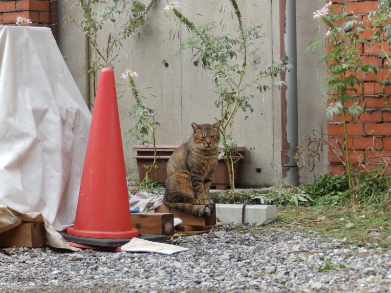 f:id:garadanikki:20141103112744j:plain