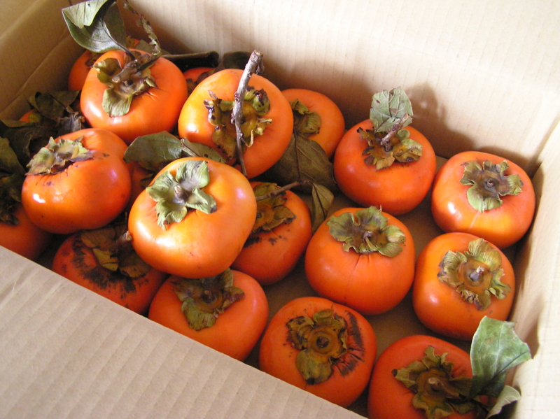 f:id:garadanikki:20141120113633j:plain f:id:garadanikki:20141120113633j:plain