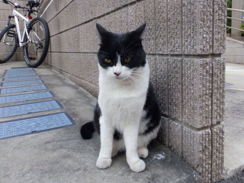 f:id:garadanikki:20141203092744j:plain