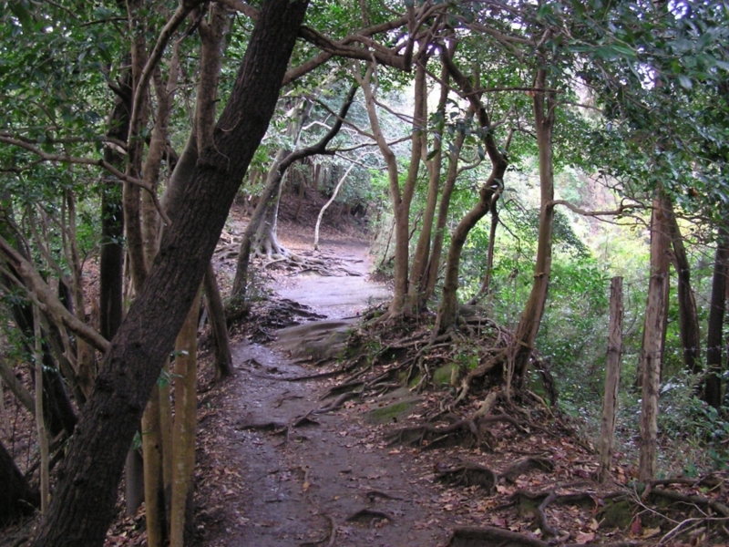 f:id:garadanikki:20141204102003j:plain f:id:garadanikki:20141204102003j:plain